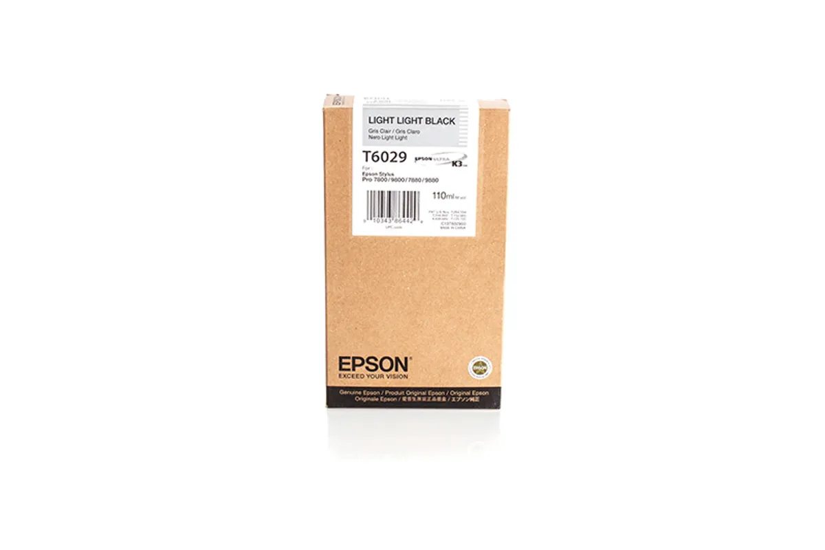 Epson T6029 / C13T602900 Tinte photo grau