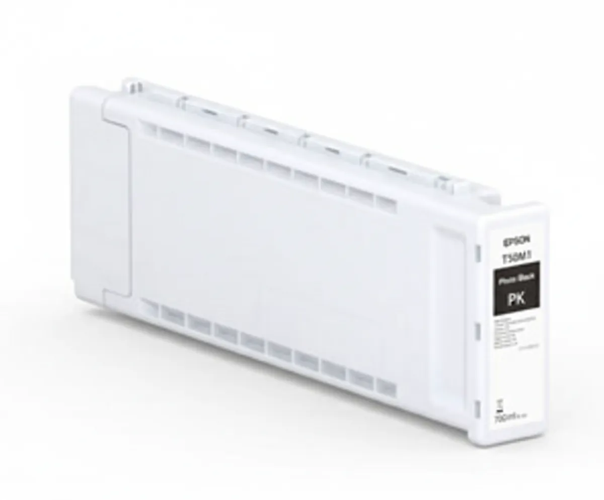 Epson T50M1 / C13T50M100 Tinte photo schwarz