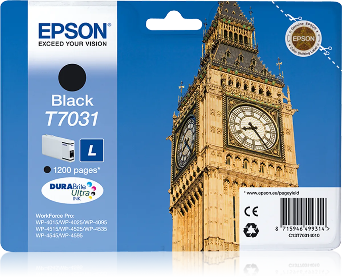 Epson T7031 / C13T70314010 Tinte schwarz
