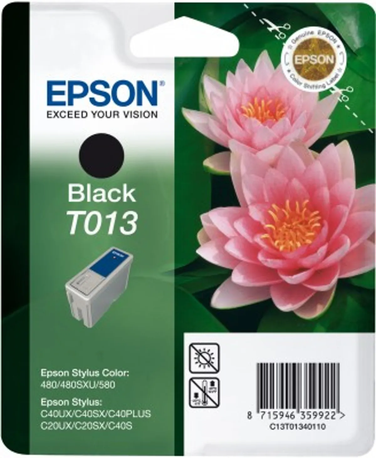 Epson T013 / C13T01340110 Tinte schwarz